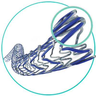 Stents Medicados - Ultimaster Tansei