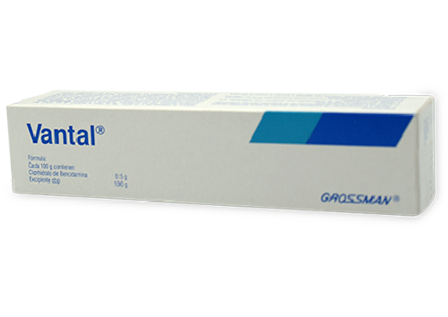 VANTAL DENTAL 1 PASTA 60 G
